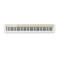 CASIO PX-S1100MBC2