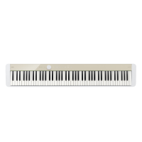 CASIO PX-S1100MBC2