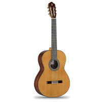 Alhambra Guitar 5 P Classical Guitar