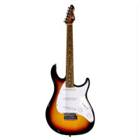 Peavey Raptor Custom Series Electric Guitar Sunburst