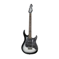 Peavy Raptor Custom SLB