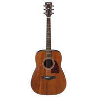 Ibanez AW54 OPN Artwood acoustic guitar Open pore natural