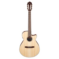 IBANEZ AEG50N-NT Acoustic Guitar (Natural High Gloss)