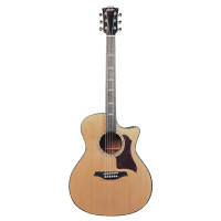 Bromo BAN2CE Acoustic guitar, w/heavy duty bag
