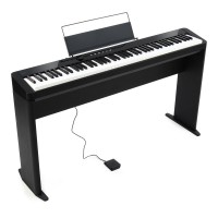 CASIO PX-S1100BKC2 with stand