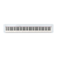 CASIO PX-S1100WEC2