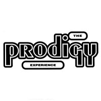 Prodigy-Experience