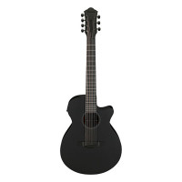 IBANEZ AEG721-BOT 7-String Ac.Guitar (Black Out)