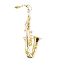 Agifty Saxophone with stand&gift case 12,5 cm (1/8) gold plated