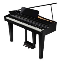 Roland GP-3-Pe Micro Grand With Piano Reality Standard Technology