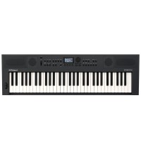 Roland GO Keys5-GT, Graphite