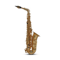 Roy Benson Eb-Alto Saxophone AS-202