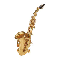 Roy Benson BB-Soprano Sax. Mod.SG-302 Curved Laquered