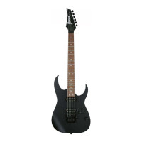 IBANEZ RGRT420-WK El. Guitar (Weathered Black)