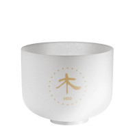 MEINL TCMCSB10-WD Sonic Energy 10